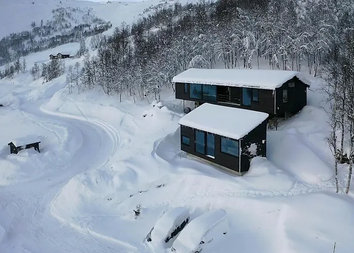 Floating Dream Embraced By Nature Sogndal