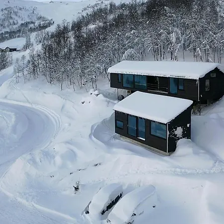 Floating Dream Embraced By Nature Sogndal